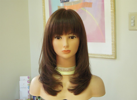 ロングレイヤー1