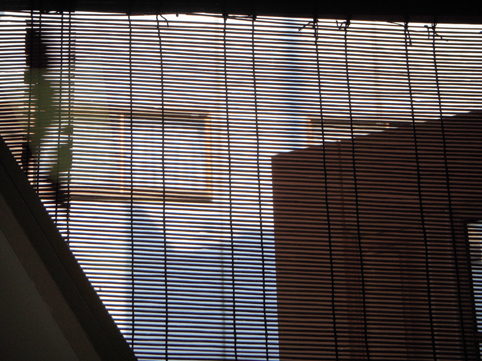 DSCN7779.jpg