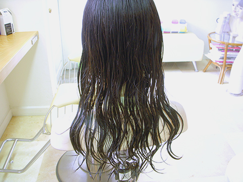 DSCN9147.jpg