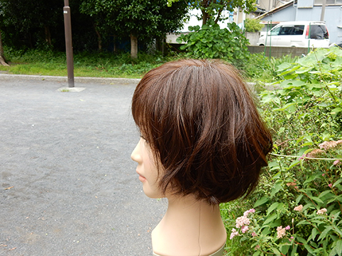DSCN2466.jpg