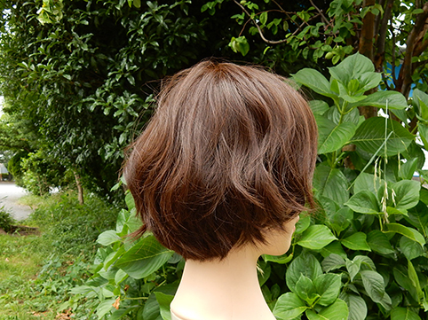 DSCN2481.jpg