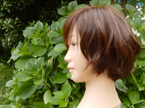DSCN2482.jpg