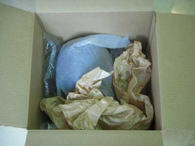 DSCN5013.jpg
