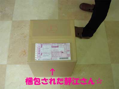 DSCN5017.jpg