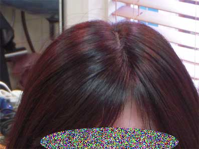 DSCN5248.jpg
