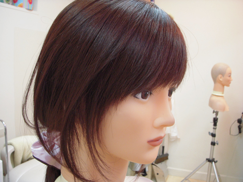 DSCN6941.jpg