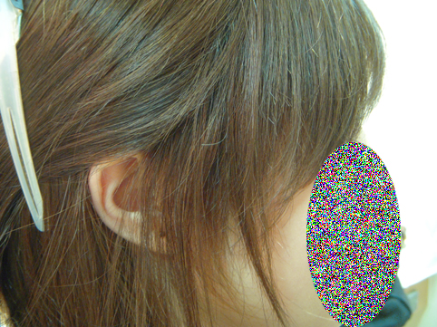 DSCN7208.jpg